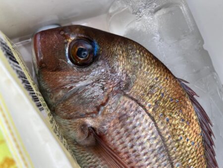 リールトラブルからの