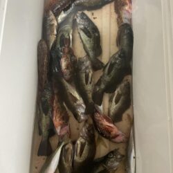 爆風の中ライトゲーム