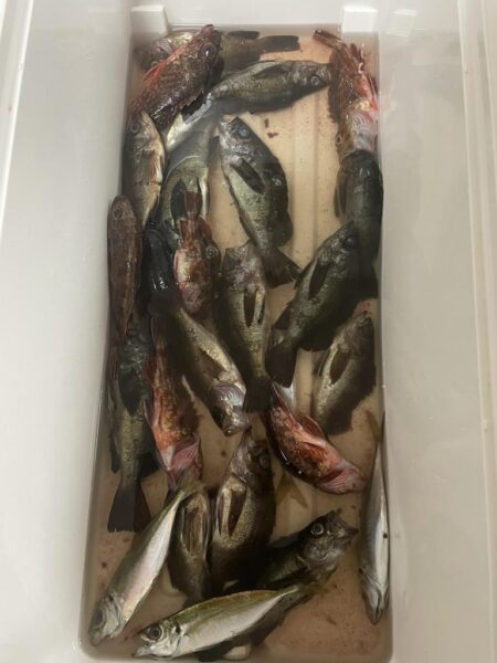 爆風の中ライトゲーム