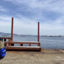 湾奥の大サバ来てます