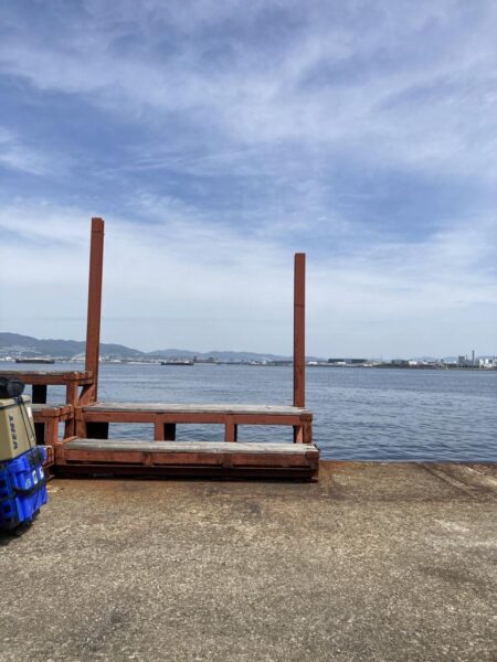 湾奥の大サバ来てます