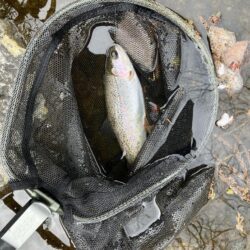 晴天無しでも釣果爆発