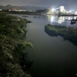夜のナマズ釣り