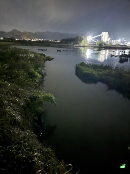 夜のナマズ釣り