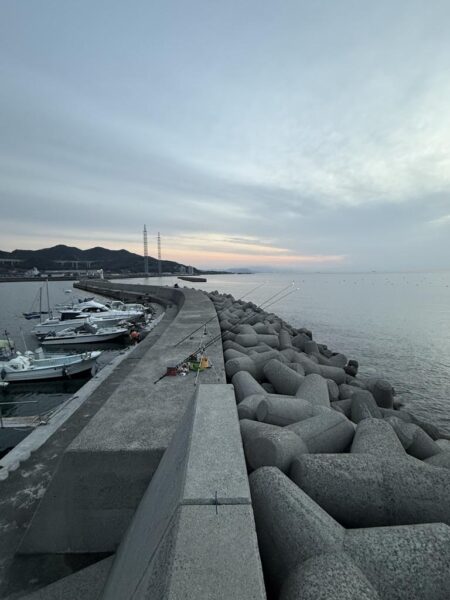 花見カレイ狙い