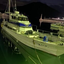 再びティップラン