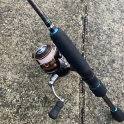 朝マズメのアジング