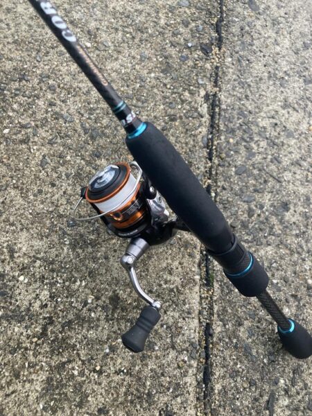 朝マズメのアジング