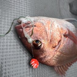 敦賀ディープタイラバ