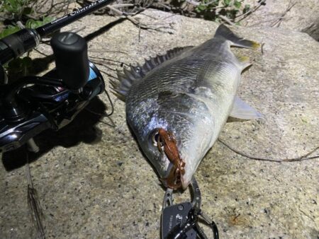 淀川ブリームゲーム