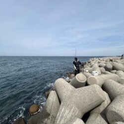 魚津港フカセグレ、ツバス