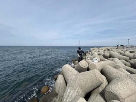 魚津港フカセグレ、ツバス