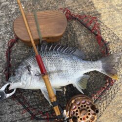 ヘチって来ました