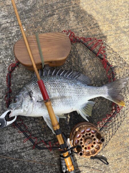 ヘチって来ました