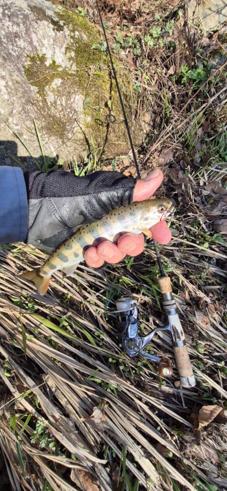 久しぶりの渓流へ
