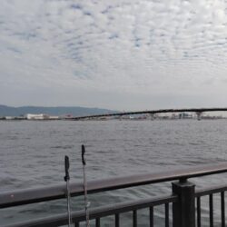 ショアジギ準備