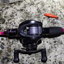 メバルプラッギング