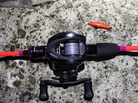 メバルプラッギング