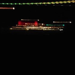 電気ウキ釣り 12