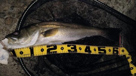 時合は20時前後