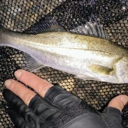 20:10からスイッチOFF⋯