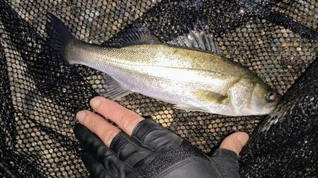 20:10からスイッチOFF⋯