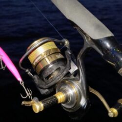 バラシが無ければ⋯