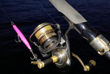 バラシが無ければ⋯