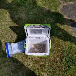 やっぱり稚鮎の唐揚げは最高ですね(^^)