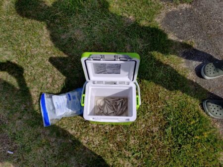 やっぱり稚鮎の唐揚げは最高ですね(^^)