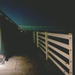 初プラグ試し釣り🎣