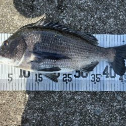 イチノ兄弟、釣果！