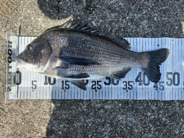 イチノ兄弟、釣果！