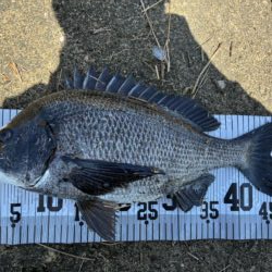 イチノ兄弟、釣果！