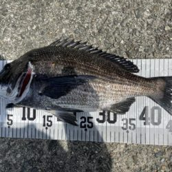 イチノ兄弟、釣果!