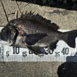 イチノ兄弟、釣果！