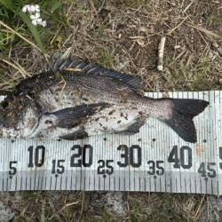 イチノ兄弟、釣果！