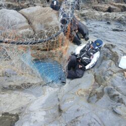 和歌山市江（吉丸渡船）でグレ釣り