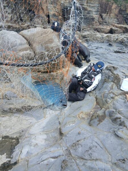 和歌山市江（吉丸渡船）でグレ釣り