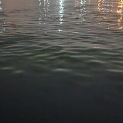 バチ抜けハイシーズン