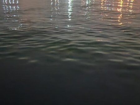 バチ抜けハイシーズン