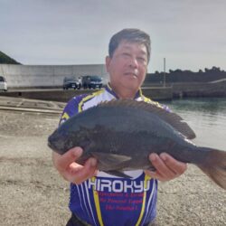 和歌山市江(吉丸渡船)でグレ釣り