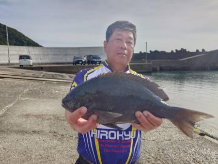 和歌山市江(吉丸渡船)でグレ釣り