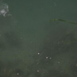 久しぶりの好釣果