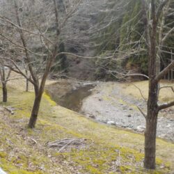 美山アマゴ釣行