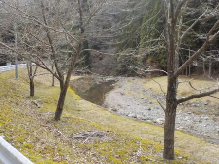 美山アマゴ釣行