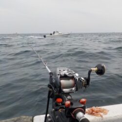 完全フカセ第1戦〜倉丸〜