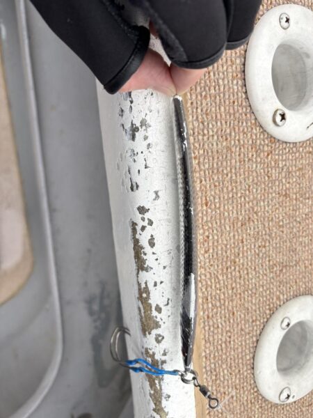 丹後沖ジギング船で春ブリ