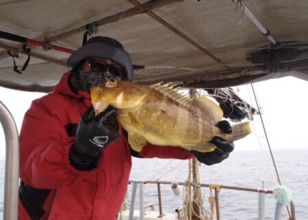 玄界灘の真鯛状況玄界灘です