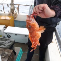 幸真丸はタイを求めて　<゜)))彡　玄界灘へGO～～～～～